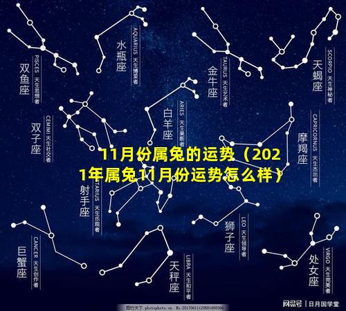 11月份属兔的运势（2021年属兔11月份运势怎么样）