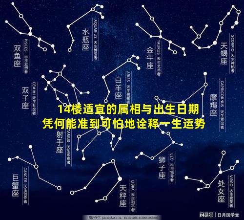 14楼适宜的属相与出生日期凭何能准到可怕地诠释一生运势