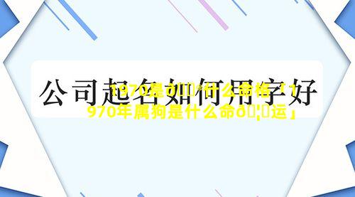 1970是💮什么命格「1970年属狗是什么命🦟运」