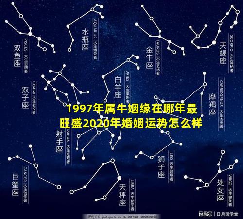 1997年属牛姻缘在哪年最旺盛2020年婚姻运势怎么样