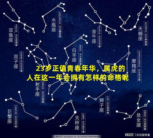 23岁正值青春年华，属虎的人在这一年会拥有怎样的命格呢