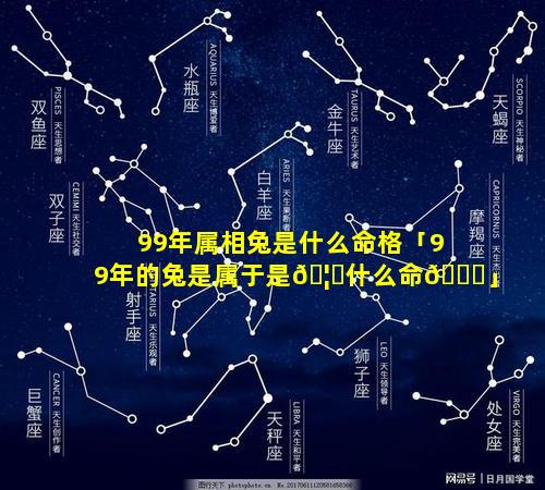 99年属相兔是什么命格「99年的兔是属于是🦋什么命💐」