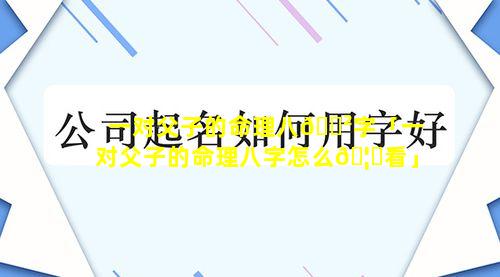 一对父子的命理八🌲字「一对父子的命理八字怎么🦍看」