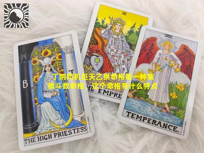 丁阴同机巨天乙拱命格是一种紫微斗数命格，这个命格有什么特点