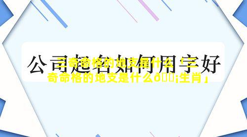 三奇命格的地支是什么「三奇命格的地支是什么🐡生肖」