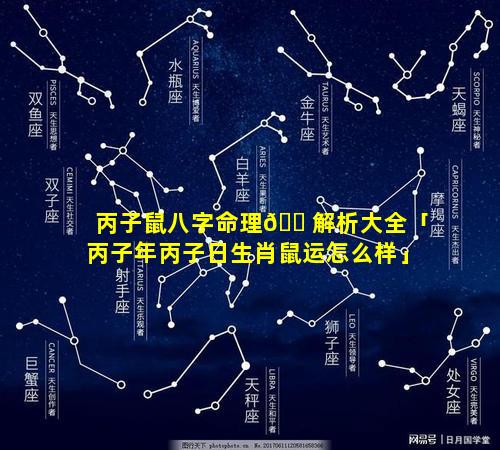 丙子鼠八字命理🐠解析大全「丙子年丙子日生肖鼠运怎么样」