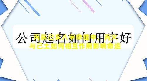 丙辰己亥八字命理中，丙火与己土如何相互作用影响命运