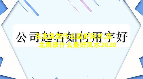 东北角放什么最好风水,东北角放什么最好风水2020