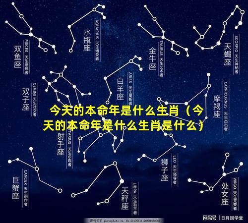 今天的本命年是什么生肖（今天的本命年是什么生肖是什么）