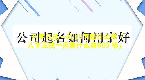 八字三戌一🐋丙是什么命「八字三戌一丙是什么命🐠格」