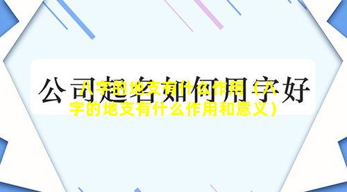 八字的地支有什么作用（八字的地支有什么作用和意义）