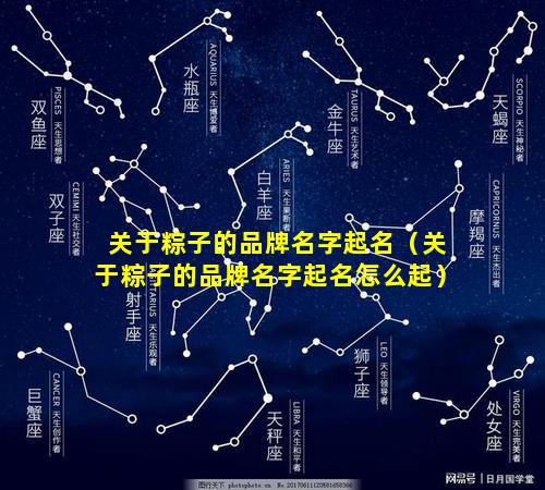 关于粽子的品牌名字起名（关于粽子的品牌名字起名怎么起）