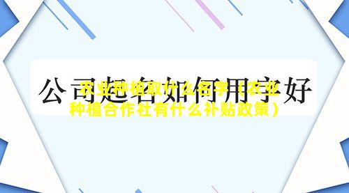 农业种植取什么名字（农业种植合作社有什么补贴政策）