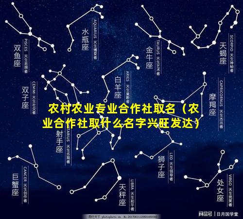 农村农业专业合作社取名（农业合作社取什么名字兴旺发达）