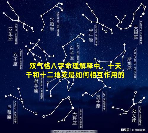 双气格八字命理解释中，十天干和十二地支是如何相互作用的