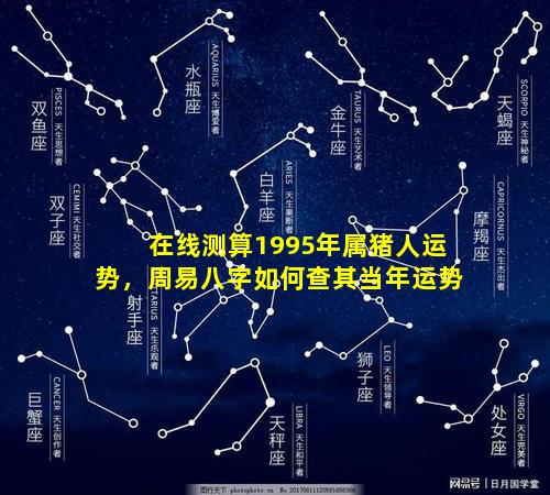 在线测算1995年属猪人运势，周易八字如何查其当年运势