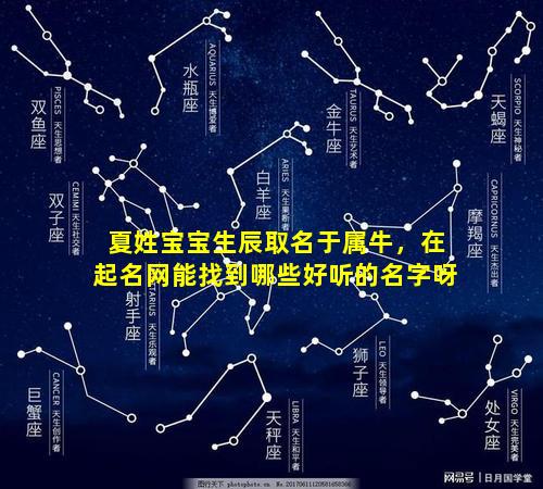 夏姓宝宝生辰取名于属牛，在起名网能找到哪些好听的名字呀