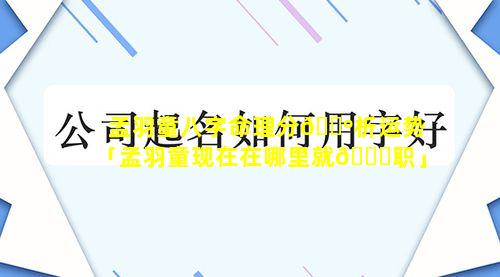 孟羽童八字命理分🐺析运势「孟羽童现在在哪里就🕊职」