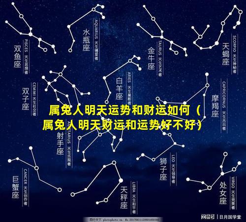 属兔人明天运势和财运如何（属兔人明天财运和运势好不好）