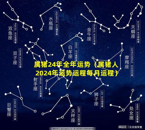 属猪24年全年运势（属猪人2024年运势运程每月运程）