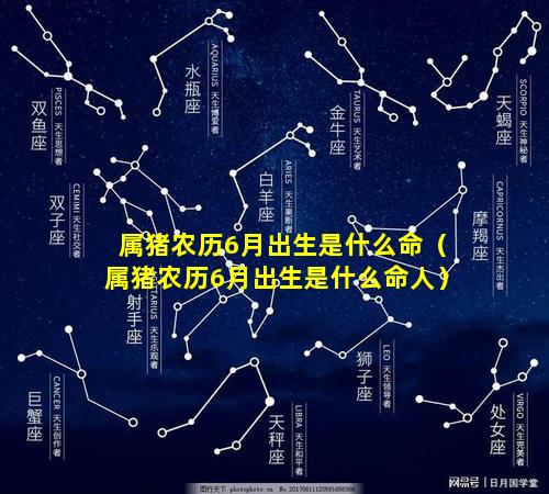 属猪农历6月出生是什么命（属猪农历6月出生是什么命人）