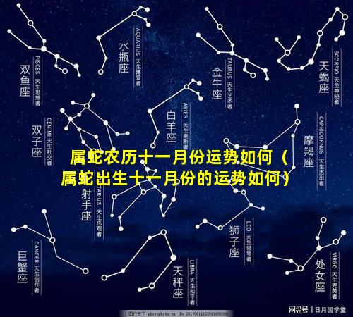 属蛇农历十一月份运势如何（属蛇出生十一月份的运势如何）