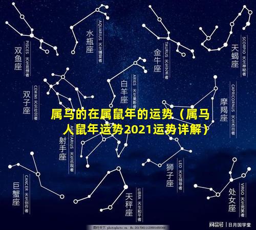 属马的在属鼠年的运势（属马人鼠年运势2021运势详解）