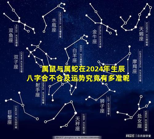 属鼠与属蛇在2024年生辰八字合不合及运势究竟有多准呢