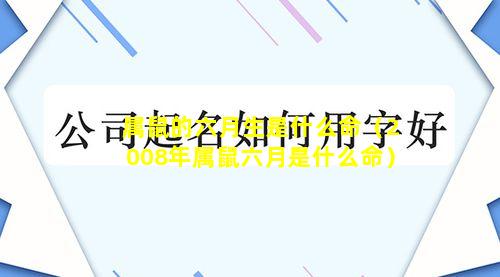 属鼠的六月生是什么命（2008年属鼠六月是什么命）