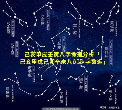 己亥甲戌壬寅八字命理分析「己亥甲戌己卯辛未八🕷字命运」