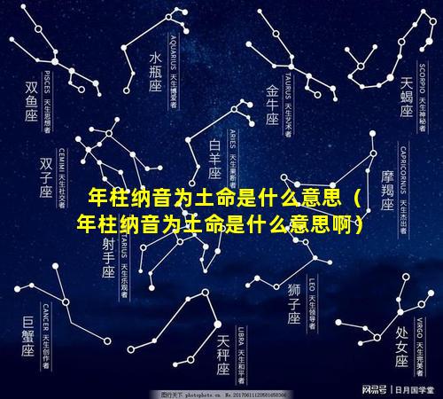 年柱纳音为土命是什么意思（年柱纳音为土命是什么意思啊）