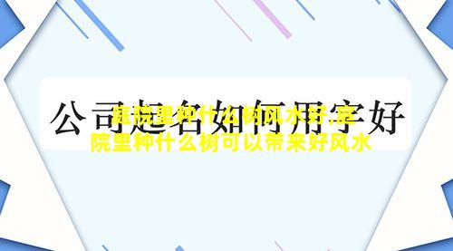 庭院里种什么树风水好,庭院里种什么树可以带来好风水