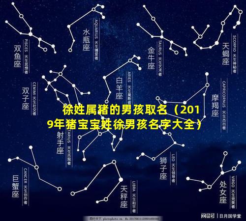 徐姓属猪的男孩取名（2019年猪宝宝姓徐男孩名字大全）