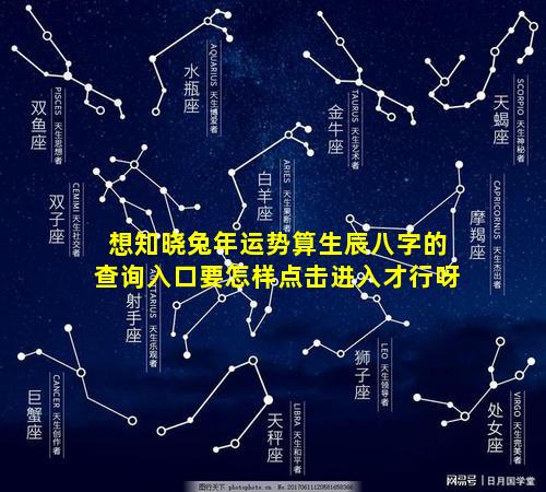 想知晓兔年运势算生辰八字的查询入口要怎样点击进入才行呀