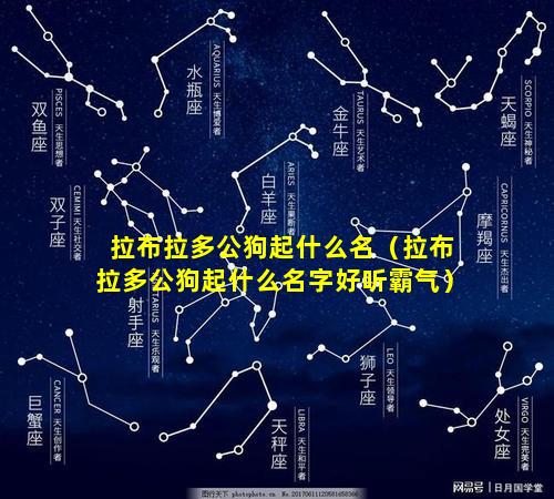 拉布拉多公狗起什么名（拉布拉多公狗起什么名字好听霸气）