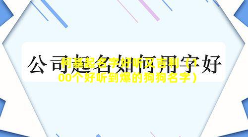 柯基起名字好听又吉利（100个好听到爆的狗狗名字）