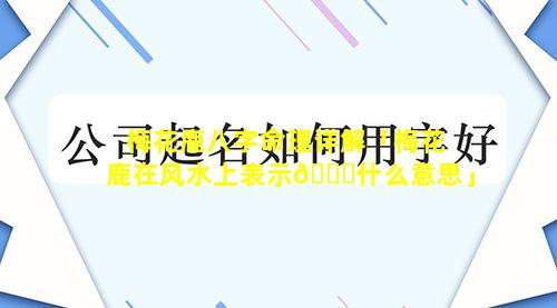 梅花鹿八字命理详解「梅花鹿在风水上表示🐞什么意思」