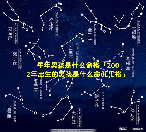 牛年男孩是什么命格「2002年出生的男孩是什么命🦊格」