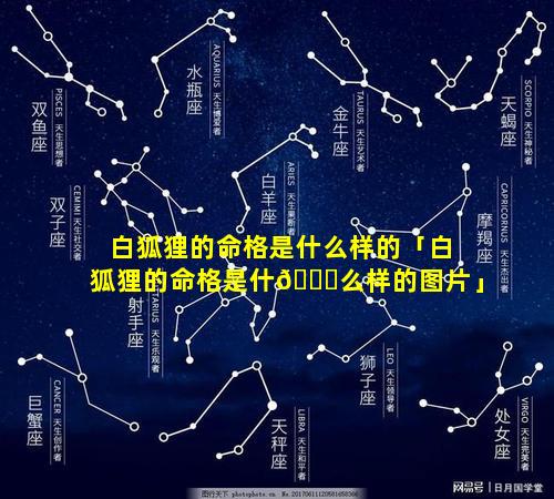 白狐狸的命格是什么样的「白狐狸的命格是什🕊么样的图片」