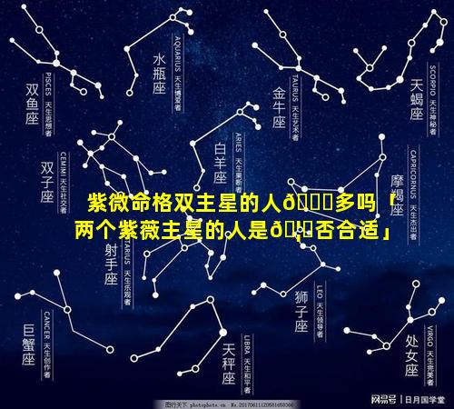 紫微命格双主星的人🐘多吗「两个紫薇主星的人是🦟否合适」