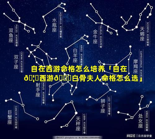 自在西游命格怎么培养「自在🦄西游🐟白骨夫人命格怎么选」