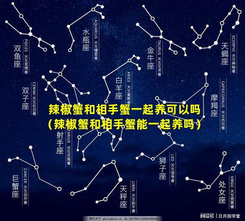 辣椒蟹和相手蟹一起养可以吗（辣椒蟹和相手蟹能一起养吗）