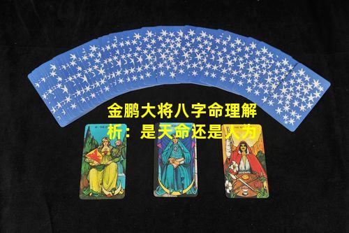 金鹏大将八字命理解析：是天命还是人为