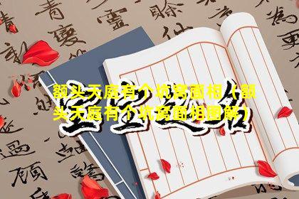 额头天庭有个坑窝面相（额头天庭有个坑窝面相图解）