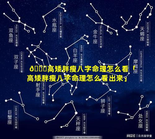 🐘高矮胖瘦八字命理怎么看「高矮胖瘦八字命理怎么看出来」