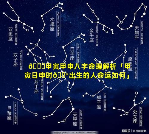 🐝甲寅甲申八字命理解析「甲寅日申时💮出生的人命运如何」