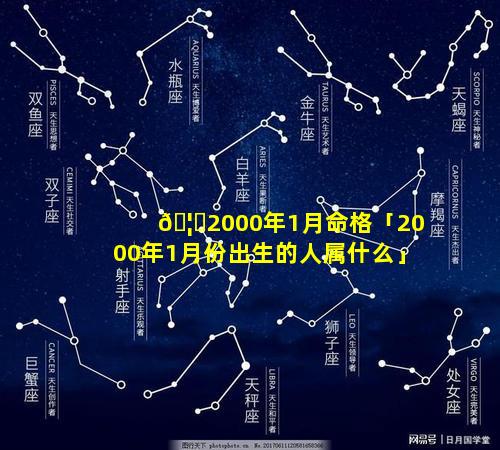 🦟2000年1月命格「2000年1月份出生的人属什么」